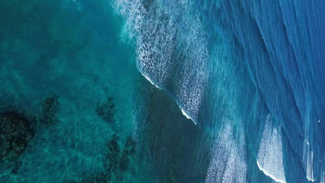 Aerial Drone flying over the Caribbean Barrier Reef in Dominican Republic. Waves crashing on coral. Shades of Blue. Vertical video.