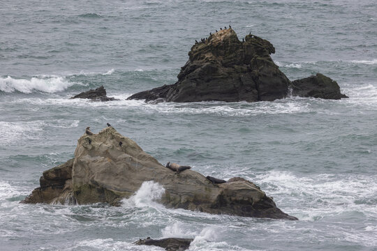 A rocky shoreline with a large rock in the middle