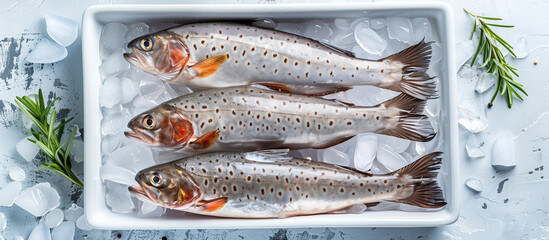 Fresh raw salmon fish on ice top view. Healthy food, seafood.