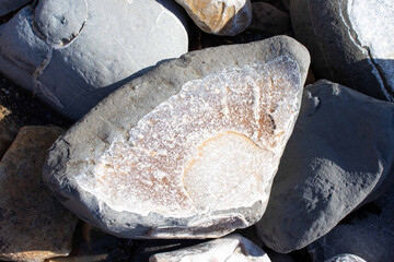 Colourful fossil rock on the beach at Charmouth