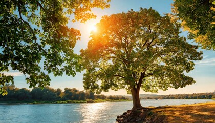 Psalm 1. Blessed be the man. He shall be like a Tree planted by the Rivers of Water.