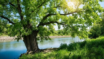 Psalm 1. Blessed be the man. He shall be like a Tree planted by the Rivers of Water.