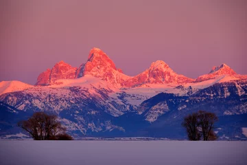 Crédence de cuisine en verre imprimé Chaîne Teton Teton Mountain Range Idaho Side Sunset Alpen Glow in Winter Blue Sky and Forest