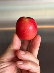Small crabapple in fingers simple tiny apple
