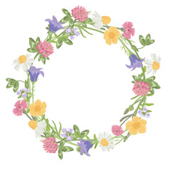 round wreath with with wild chamomile, field flowers, vector drawing plants at white background, floral design, hand drawn botanical illustration