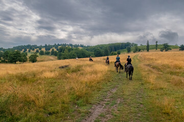Fototapeta na wymiar Horseback riding in the carpathian landscape