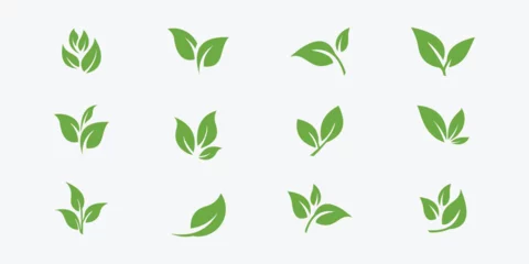 Deurstickers Green leaf ecology icon vector © Urwah