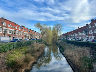 Fototapeta premium the town