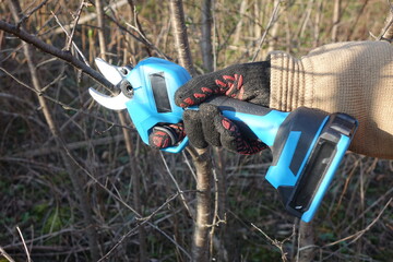 Pruning trees with electric pruning shears branch cutter automatic with battery to easyprune...
