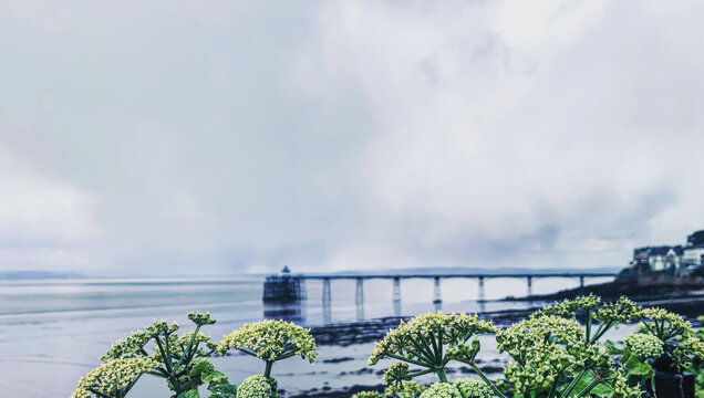 View of Clevedon Pier, North Somerset 