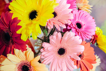 colorful gerber flower floral greeting card