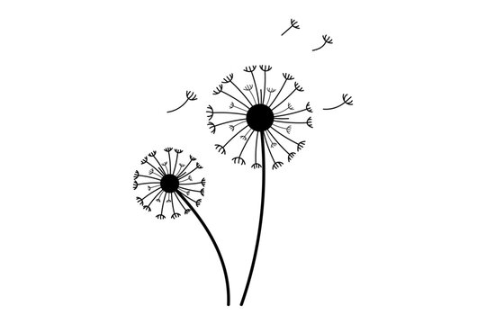 Dandelion Hand Drawn Silhouette.