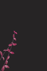  Pink branches on gray background. Top view, copy space
