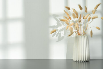 Vase with dry flowers against white background with shadow pattern