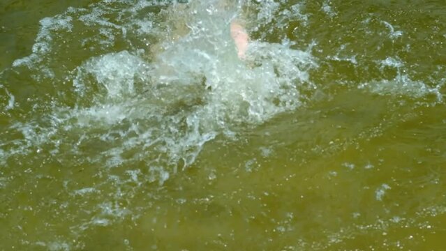 child 8 years old, boy swims in lake, river, summer pond, concept of fun holidays, active, happy childhood, hot day, develop skill of swimmer, summer vacation in nature, rescue drowning people