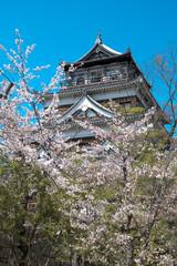 Naklejka premium Hiroshima, Japan, Asia