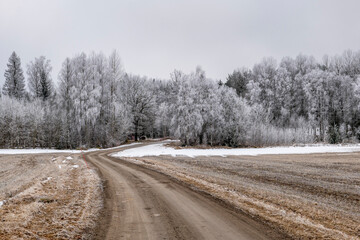 Farm landscape in Sweden with frosty tree in spring - 757363300