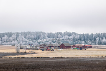 Farm landscape in Sweden with frosty tree in spring - 757363311