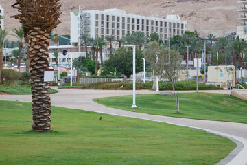 Obraz premium Park with well maintained green grass, winding pathways, modern street lamps and palm trees. In the distance, a sizable multi story building stands beneath a clear sky, urban and natural beauty