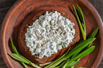 Delicious sandwich with bread, salad of green wild garlic and sour cream on plate, closeup