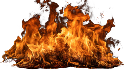 Primer plano de una hoguera encendida.
Llamas y fuego aislados sobre fondo transparente.