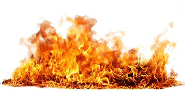 Primer plano de una hoguera encendida.
Llamas y fuego aislados sobre fondo transparente.