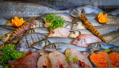 Fresh fish - Fortaleza da Arrifana, Portugal, February 2024