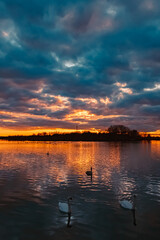 Summer sunset with reflections near Plattling, Isar, Bavaria, Germany