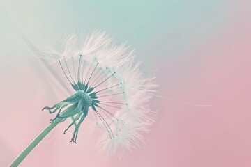 A delicate dandelion seed head against a soft pastel-colored background