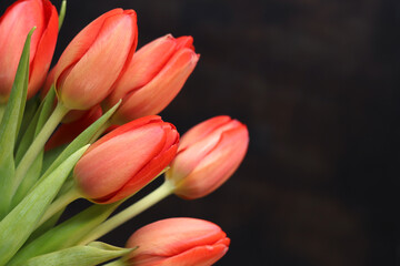 Fototapeta premium Bouquet of pink tulips on a dark wooden background. Bouquet of flowers with selective focus. Tulips with copy space. Mother's Day, Easter, Valentine's Day. Spring flowers