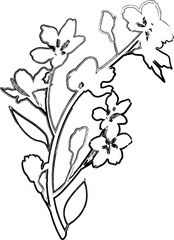 Sakura branch with flowers decoration.