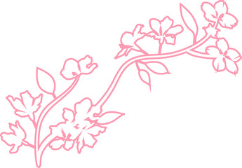 Obraz na płótnie Canvas Sakura branch with flowers decoration.