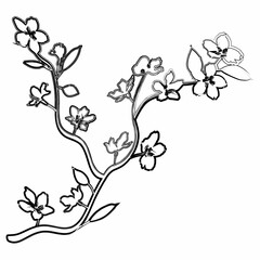 Sakura branch with flowers decoration.