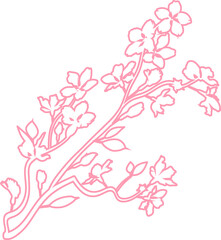 Sakura branch with flowers decoration.