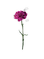 Beautiful purple flower with black elements isolated on white background. Ideal for birthday cards, posters etc.
