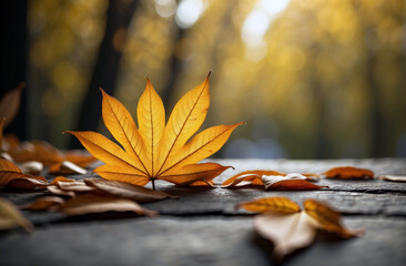 Naklejka na ściany i meble Autumn leaves decoration background fall seasonal theme concept 