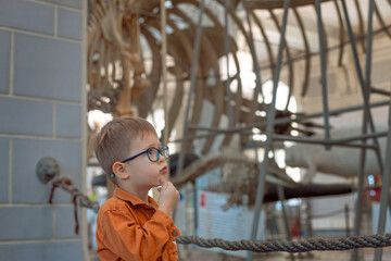 boy wearing glasses looks at a skeleton in a history museum, Kid having fun learning about prehistory