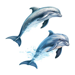 A pair of graceful dolphins leaping out of the water