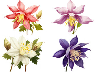 columbine collection set isolated on transparent background, transparency image, removed background