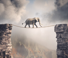 Elephant walks on rope above a gap between two mountain peaks.