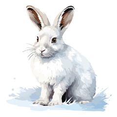 Arctic Hare Clipart isolated on white background