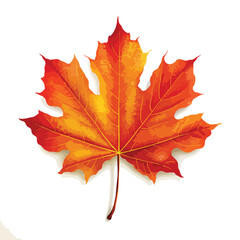 Autumn Leave Clipart isolated on white background