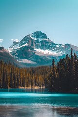 Stunning Canadian Lake: Turquoise Waters Amidst Pine Trees and Snow-Capped Mountains