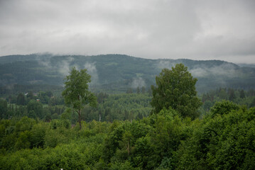 Norwegian mountains, fjords with green trees surrounded by white fog on a cloudy, rainy day.