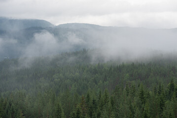 Norwegian landscape with white fog over green trees with mountains in the background.