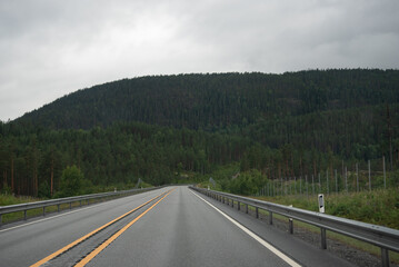 Highway in the Norwegian mountains. Green coniferous trees on the hills.