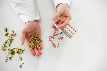 Obraz premium Choosing between natural medicine and synthetic, doctor's hands holding herbs and pills
