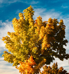 Autumn or indian summer view near Plattling, Isar, Deggendorf, Bavaria, Germany