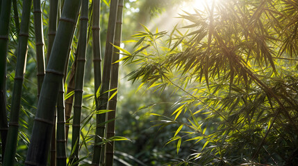 A mystical bamboo forest with beauty sunlight, serene atmosphere. Generative AI