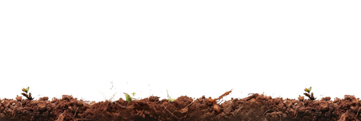 soil border side view isolated on transparent background